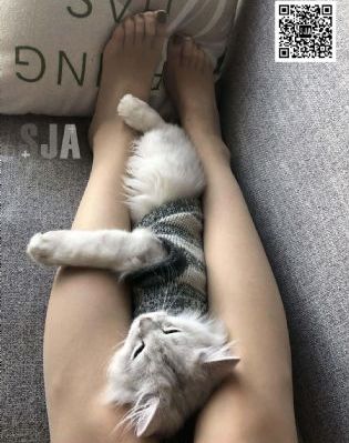 草莓视频app在线观看_影视大全视频