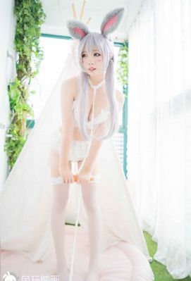 99视频在线观看免费_DVD电影免费在线