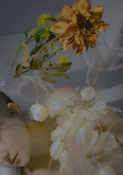 伦理片pixxx美乳在线观看_BD韩语韩国电影在线观看